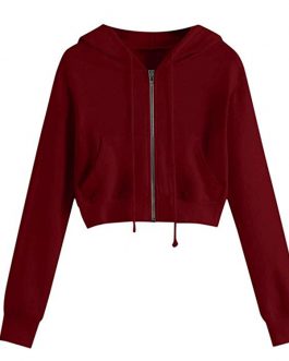 Factory Price Autumn Winter Hoodies Women Plus Size Thicken Warm Sweatshirt Solid Color Pullover Casual Female Hoodies (Copy)