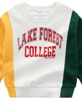2020 Autumn Cotton Blank Girls Boys Kids Crewneck Sweatshirt
