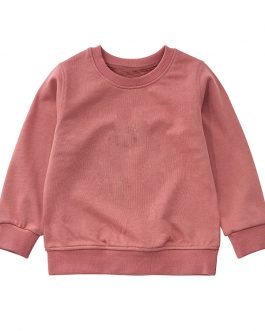 Baby Boys Sweatshirt Plain Blank Hoodies for Boys and Girls Collection