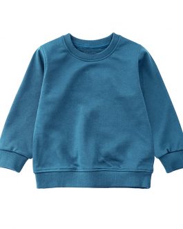 Plain Baby Boys Sweatshirt Blank Custom Print Hoodies for Boys and Girls Collection