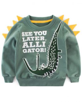 Custom Cartoon Printed Boys Long Sleeve Sweatshirt