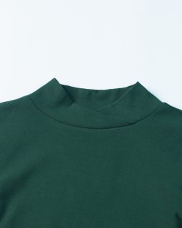 Women Turtle Neck Elegant Autumn Streetwear T Shirt Casual Custom LOGO for Women Collection